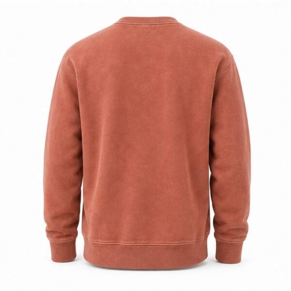 Garment-Dyed Crewneck Sweatshirt - back view